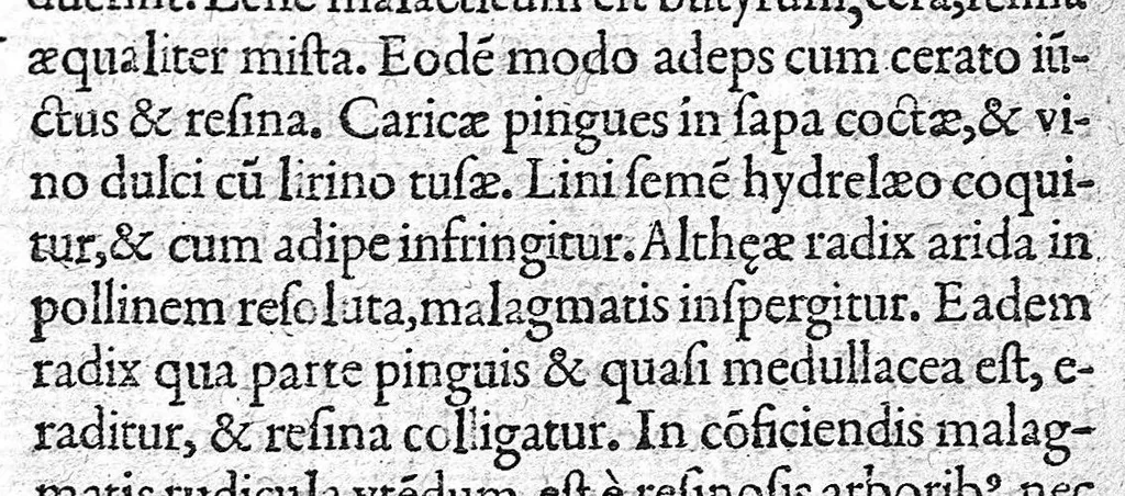 An illustration from De materia chirurgica, 1572, leaf 37