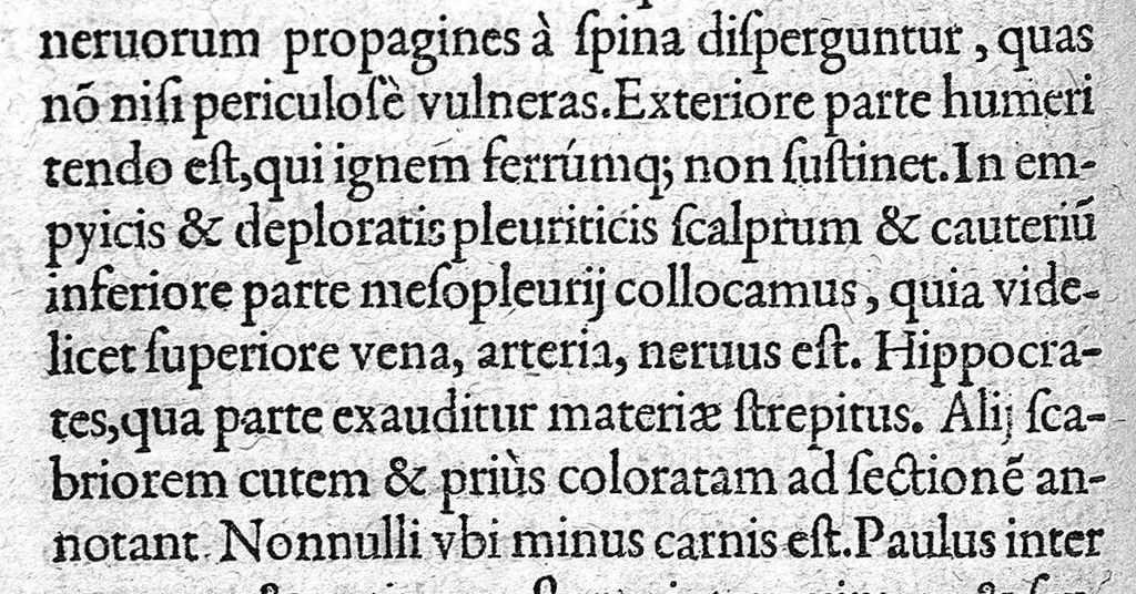 An illustration from De materia chirurgica, 1572, leaf 59