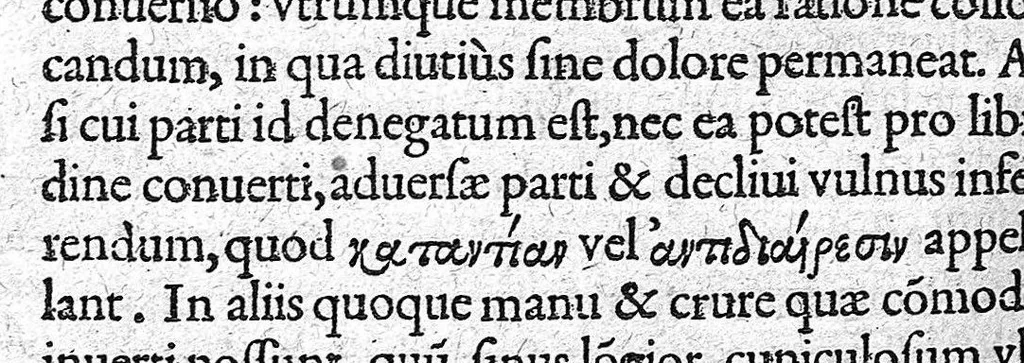 An illustration from De materia chirurgica, 1572, leaf 65