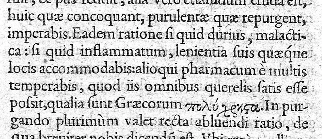 An illustration from De materia chirurgica, 1572, leaf 72