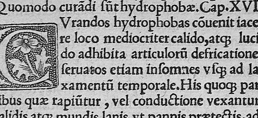 An illustration from Caelii Aureliani methodici siccensis liber celerum vel acutarum passionum qua licuit diligentia recognitus, atque nunc primum in lucem aeditus, 1533, leaf 224
