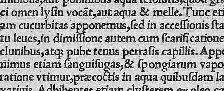 An illustration from Caelii Aureliani methodici siccensis liber celerum vel acutarum passionum qua licuit diligentia recognitus, atque nunc primum in lucem aeditus, 1533, leaf 244