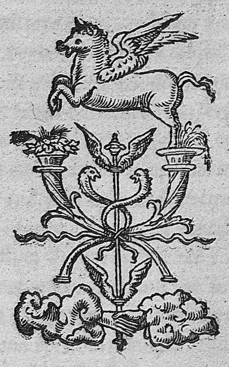 An illustration from Medicae aliquot disceptationes eruditissimae quibus recentiorum et Arabum permulti errores ad veterum discplinam expenduntur, 1535, leaf 0