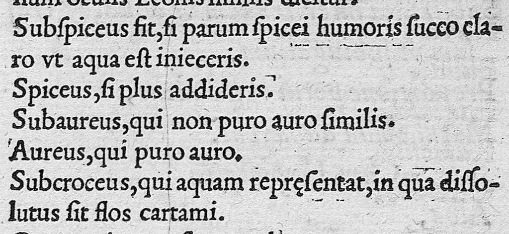 An illustration from Deiudiciis urianarum tractatus, ex probatis collectus autoribus, et in tabulae formam confectus, 1545, leaf 10