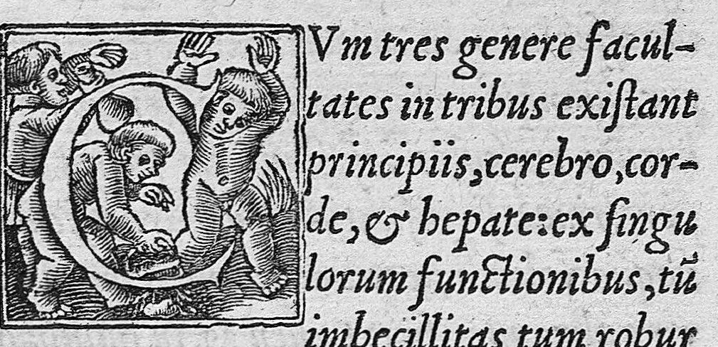 An illustration from Deiudiciis urianarum tractatus, ex probatis collectus autoribus, et in tabulae formam confectus, 1545, leaf 2