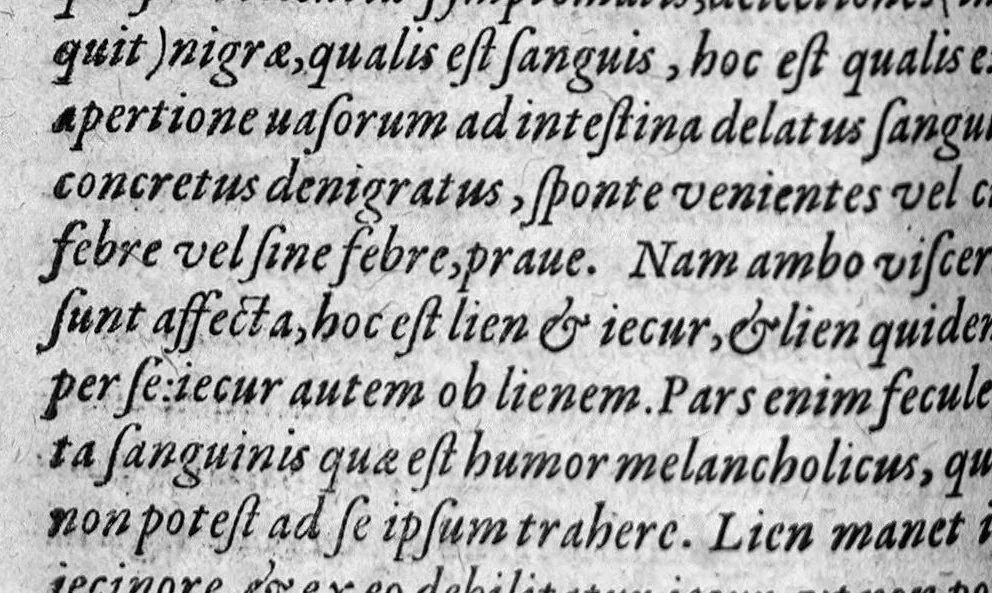 An illustration from Philothei medici praestantissimi commentaria in aphorismos Hippocratis nunc primum e graeco in latinum sermonem conversa, Ludovico Corado Mantuano interprete, 1581, leaf 137