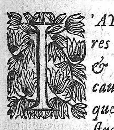 An illustration from La pathologie ou discours des maladies, 1655, leaf 229