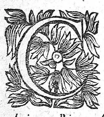 An illustration from La pathologie ou discours des maladies, 1655, leaf 318