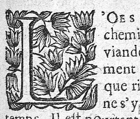An illustration from La pathologie ou discours des maladies, 1655, leaf 405