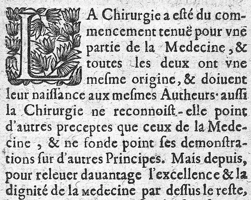 An illustration from La pathologie ou discours des maladies, 1655, leaf 545