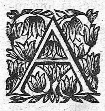 An illustration from Les sept livres de la thérapeutique universelle de Jean Fernel, 1655, leaf 59
