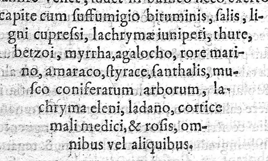 An illustration from De methodo medendi lectiones quatuor, 1565, leaf 367