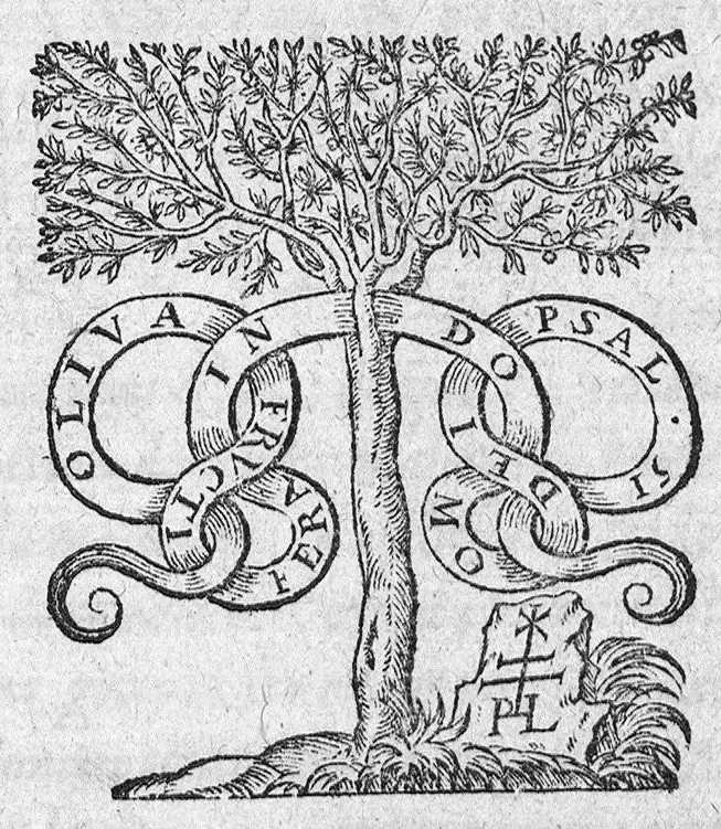 An illustration from Traicté des arcbusades, contenant la vraye essence du mal, et sa propre curation, par certaines et methodiques indications : avec l’explication de divers Problemes touchant ceste matiere. Par Laurens Joubert Medecin du Roy, et son Lecteur en l’Escole de medecine, à Montpelier,, 1570, leaf 0