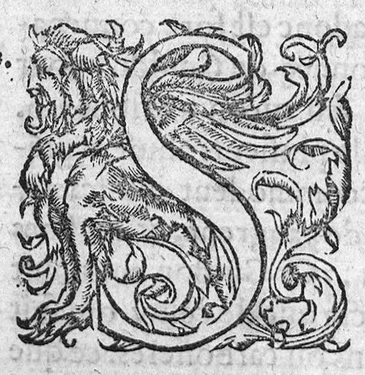 An illustration from Traicté des arcbusades, contenant la vraye essence du mal, et sa propre curation, par certaines et methodiques indications : avec l’explication de divers Problemes touchant ceste matiere. Par Laurens Joubert Medecin du Roy, et son Lecteur en l’Escole de medecine, à Montpelier,, 1570, leaf 133