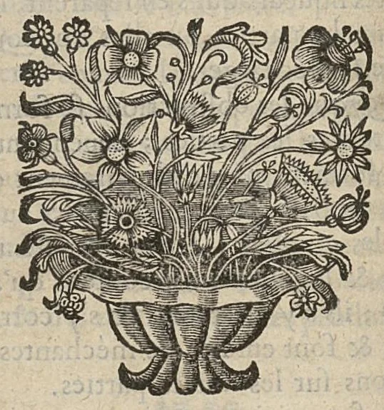 An illustration from Reflexions nouvelles sur les causes des maladies, et de leurs symptomes, 1687, leaf 407
