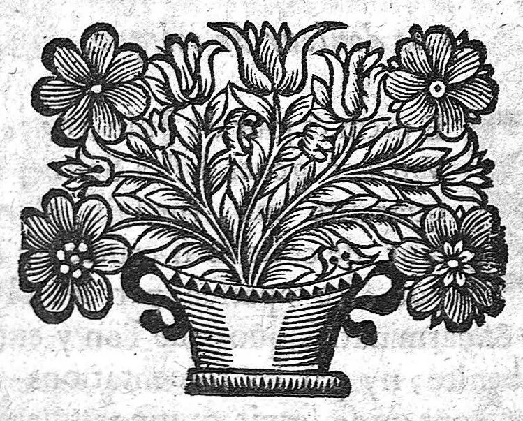 An illustration from Les observations de médecine, 1688, leaf 177