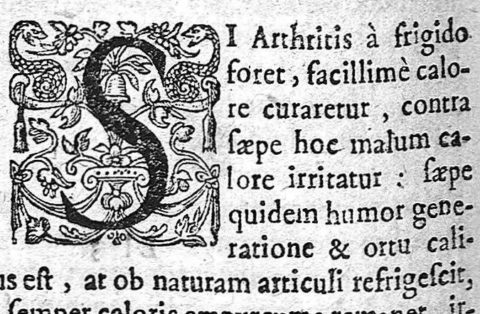 An illustration from Pharos medicorum. Hoc est cautiones, animadversiones et observationes practicae. Ex operibus Guilielmi Ballonii, 1673, leaf 596