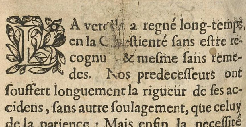 An illustration from Opuscules ou traictés divers et curieux en medecine..., 1640, leaf 584
