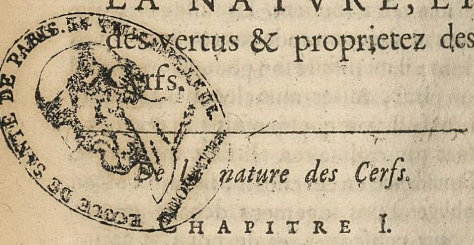 An illustration from Opuscules ou traictés divers et curieux en medecine..., 1640, leaf 802