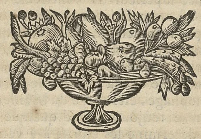 An illustration from Le Tresor de la medecine contenant l'Anatomie ou division des parties du corps humain, les maladies ausquelles elles sont sujettes, le regime de vivre...tome second, 1697, leaf 325