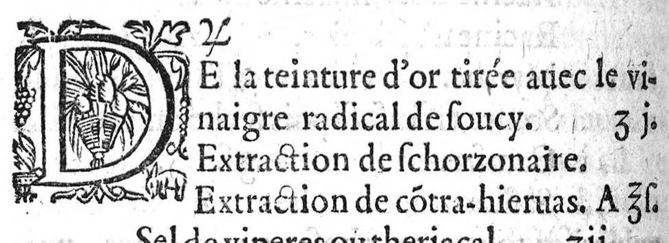 An illustration from Traité de la peste, de ses causes & de la cure. Avec les moyens de s'en preserver & les controverses sur ce sujet, divisé en deux parties, 1620, leaf 303