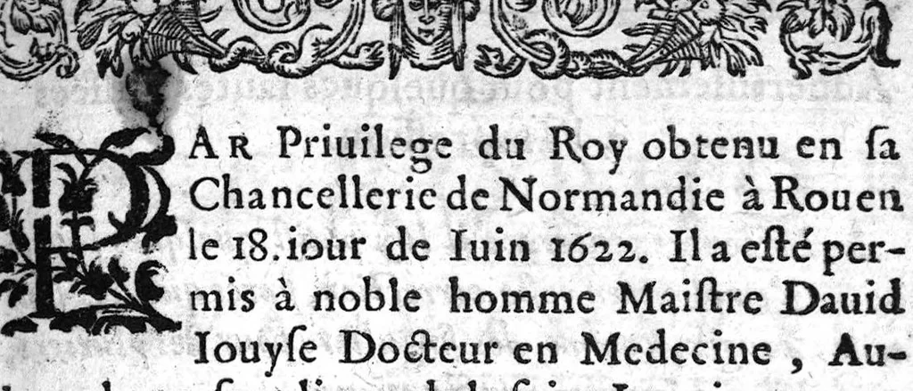 An illustration from Examen du livre de Lamperiere sur le sujet de la peste..., 1622, leaf 342