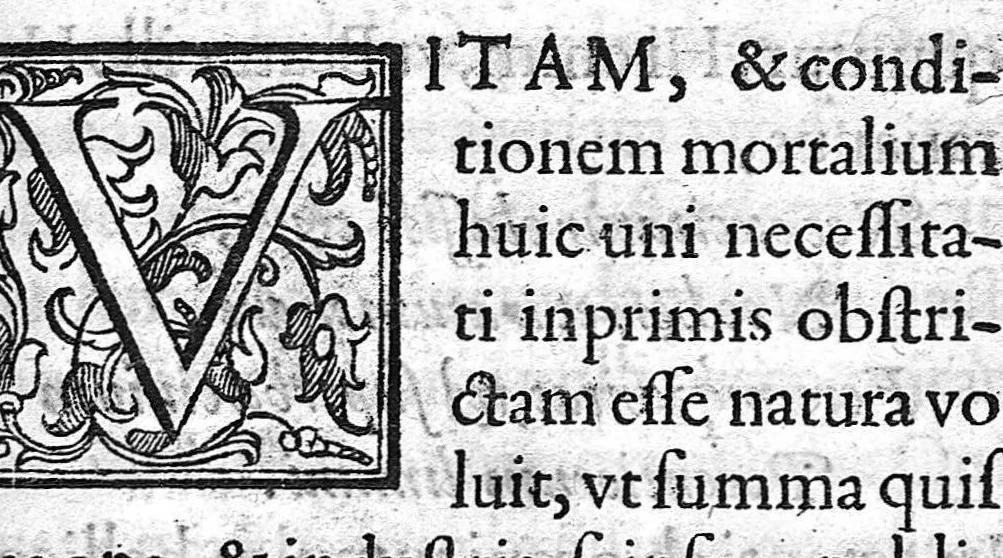 An illustration from De naevis liber, 1606, leaf 12