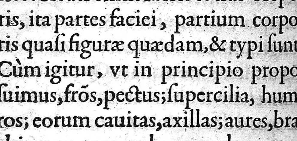 An illustration from De naevis liber, 1606, leaf 65