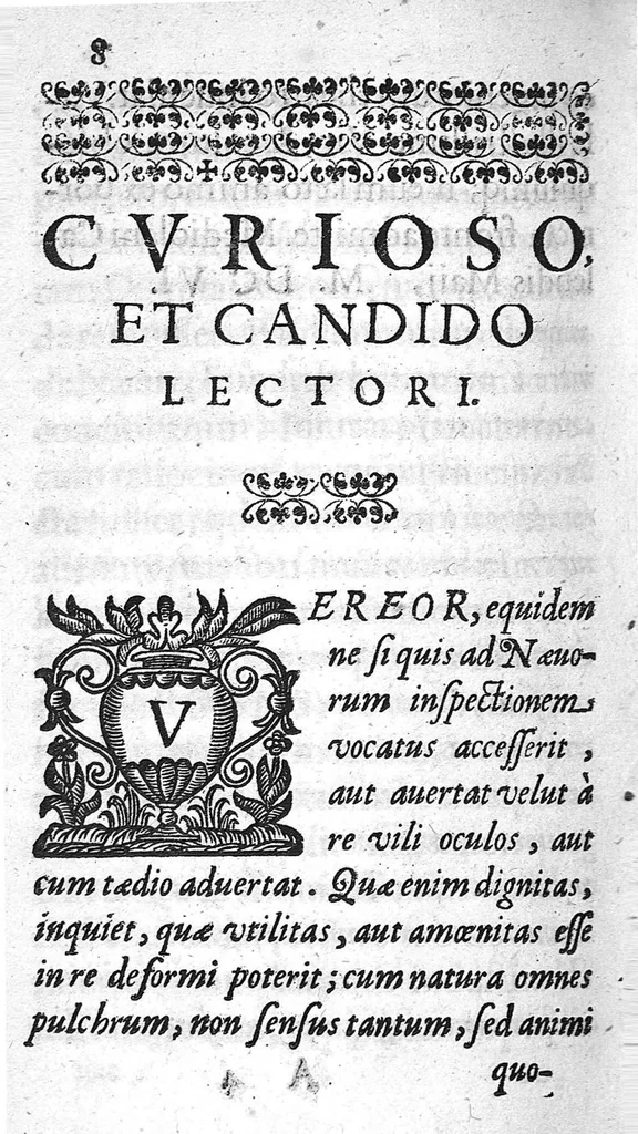 An illustration from De naevis liber, 1606, leaf 7