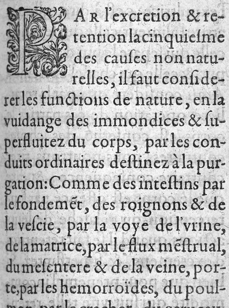 An illustration from Traicté de la peste divise en trois parties. Auquel est adjoint un traicte des vertus et proprietes du Contrayerva. Le tout composé par Masitre Caesar Morin, Angevin, Docteur en Medecine, 1602, leaf 100