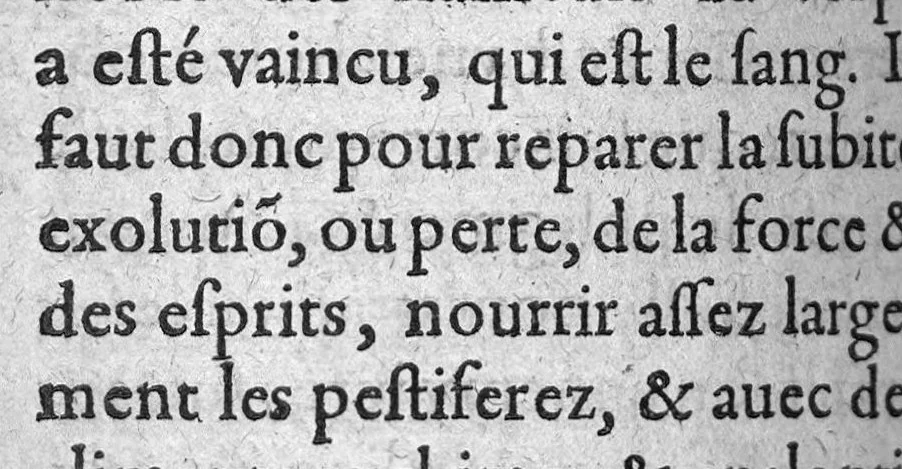 An illustration from Traicté de la peste divise en trois parties. Auquel est adjoint un traicte des vertus et proprietes du Contrayerva. Le tout composé par Masitre Caesar Morin, Angevin, Docteur en Medecine, 1602, leaf 133