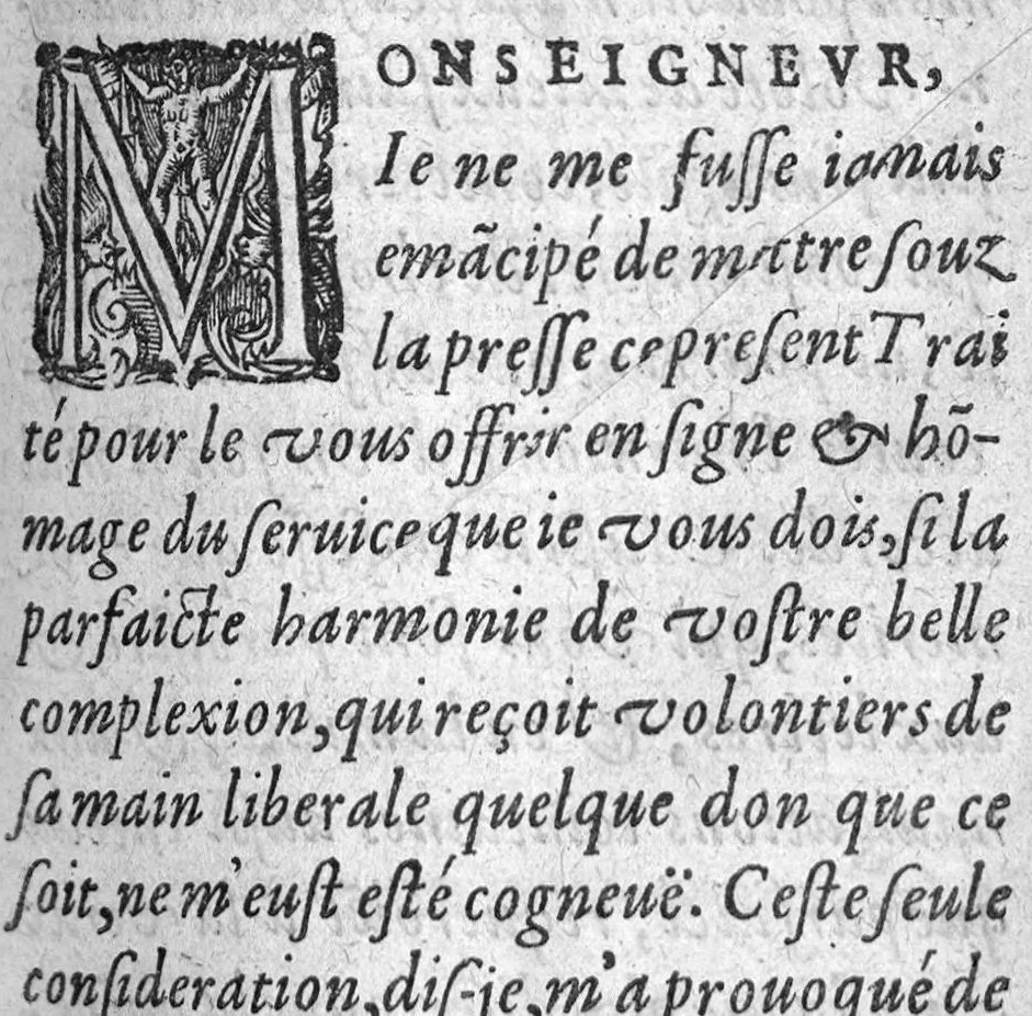 An illustration from Traicté de la peste divise en trois parties. Auquel est adjoint un traicte des vertus et proprietes du Contrayerva. Le tout composé par Masitre Caesar Morin, Angevin, Docteur en Medecine, 1602, leaf 2