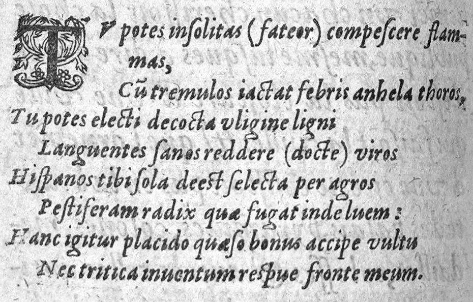An illustration from Traicté de la peste divise en trois parties. Auquel est adjoint un traicte des vertus et proprietes du Contrayerva. Le tout composé par Masitre Caesar Morin, Angevin, Docteur en Medecine, 1602, leaf 9
