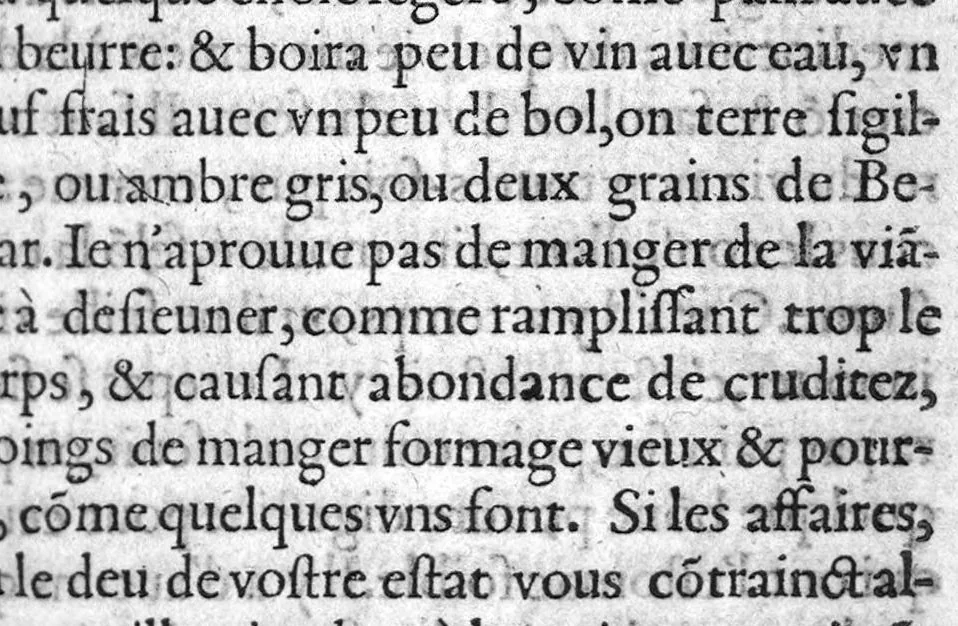 An illustration from Discours sur les causes de la peste survenue à Bourdeaux, cest an 1599,avec la preservation et curation d'icelle. Par M. Guillaume Briet, Docteur Medecin ordinaire de la Ville, 1599, leaf 22