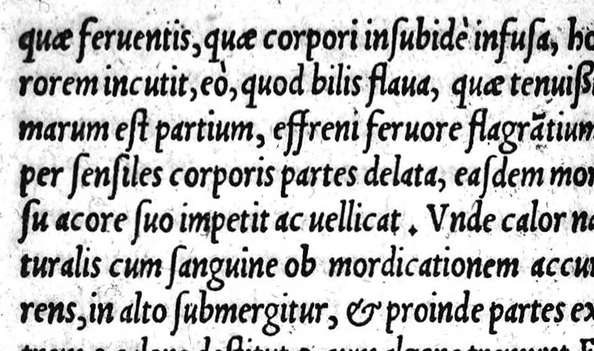 An illustration from Alexandri Aphrodisei medici et philosophi praecellentis, de febrium causis et differentiis opusculum a Georgio Valla Placentino latinitate donatum. In librum Ioannis Damasceni principis Arabum medici, de exquisita febrium curatione compendiosum diegema Albano Torino authore. Eiusdem aphorismorum libellus eodem Torino paraphraste. Ad haec Simonis Grynaei ... medicinae commentatio [i.e. commendatio] sive encomium. Praesagium experientia confirmatum Galeni Georgio Valla ... interprete, 1542, leaf 149