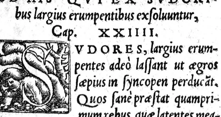 An illustration from Alexandri Aphrodisei medici et philosophi praecellentis, de febrium causis et differentiis opusculum a Georgio Valla Placentino latinitate donatum. In librum Ioannis Damasceni principis Arabum medici, de exquisita febrium curatione compendiosum diegema Albano Torino authore. Eiusdem aphorismorum libellus eodem Torino paraphraste. Ad haec Simonis Grynaei ... medicinae commentatio [i.e. commendatio] sive encomium. Praesagium experientia confirmatum Galeni Georgio Valla ... interprete, 1542, leaf 198