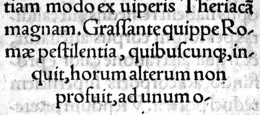 An illustration from Alexandri Aphrodisei medici et philosophi praecellentis, de febrium causis et differentiis opusculum a Georgio Valla Placentino latinitate donatum. In librum Ioannis Damasceni principis Arabum medici, de exquisita febrium curatione compendiosum diegema Albano Torino authore. Eiusdem aphorismorum libellus eodem Torino paraphraste. Ad haec Simonis Grynaei ... medicinae commentatio [i.e. commendatio] sive encomium. Praesagium experientia confirmatum Galeni Georgio Valla ... interprete, 1542, leaf 265