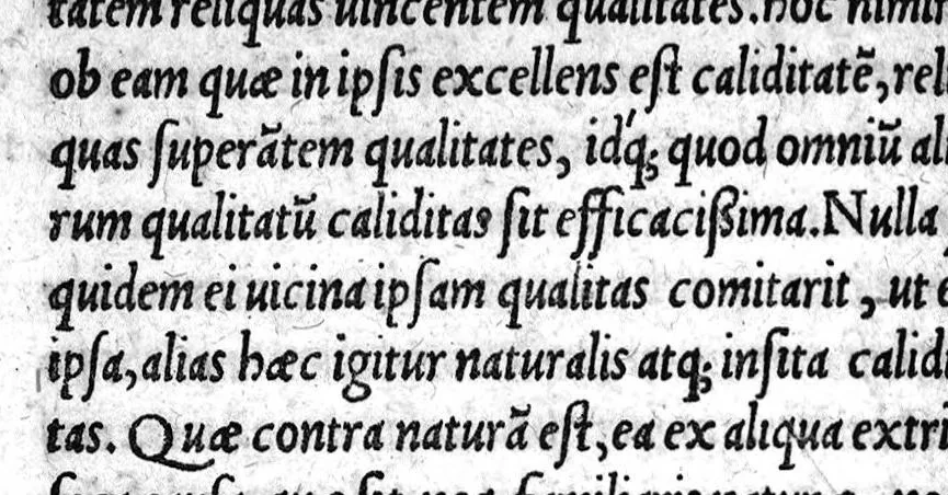 An illustration from Alexandri Aphrodisei medici et philosophi praecellentis, de febrium causis et differentiis opusculum a Georgio Valla Placentino latinitate donatum. In librum Ioannis Damasceni principis Arabum medici, de exquisita febrium curatione compendiosum diegema Albano Torino authore. Eiusdem aphorismorum libellus eodem Torino paraphraste. Ad haec Simonis Grynaei ... medicinae commentatio [i.e. commendatio] sive encomium. Praesagium experientia confirmatum Galeni Georgio Valla ... interprete, 1542, leaf 41