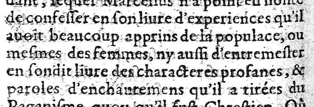 An illustration from Tétrade des plus grièves maladies de tout le cerveau... par Joseph Du Chesne, sieur de La Violette,..., 1625, leaf 199