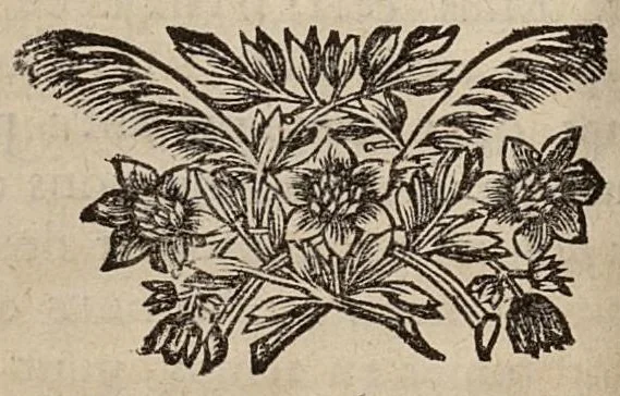 An illustration from Dissertation sur la goutte, tant la chaude que la froide...seconde edition, revüë et augmentée, 1689, leaf 99