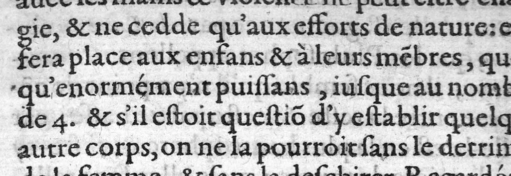 An illustration from Les maladies des femmes & remedes d'ycelles, en trois livres, 1609, leaf 13