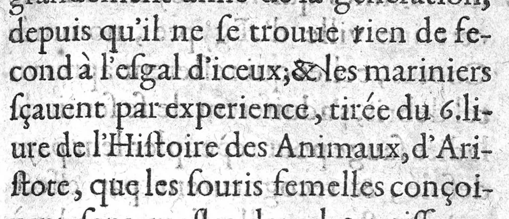 An illustration from Discours de la nature, cause, signes et curation des empeschemens de la conception, 1625, leaf 494