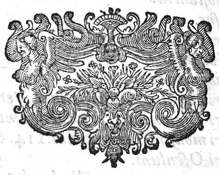 An illustration from Regneri de Graaf De mulierum organis generationi inservientibus tractatus novus : demonstrans tam homines & animalia caetera omnia, quae vivipara dicuntur, haud minus quàm ovipara ab ovo originem ducere : ad Cosmum III, magnum Etruriae ducem, 1672, leaf 394