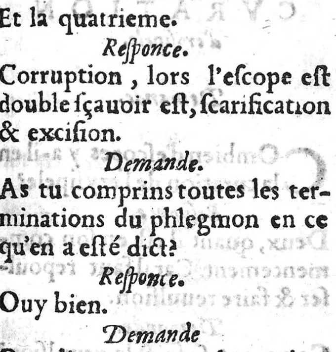 An illustration from Questionere des tumeurs contre nature, necessaire à ceux qui veulent parvenir à la cognoissance de cette partie de chyrurgie. Contenant les causes, signes & curation en general. Fait par Tanequin Guilhemet Chyrurgien du Roy de Navarre et maistre en ladite faculté en la Cité de Nimes,, 1579, leaf 22
