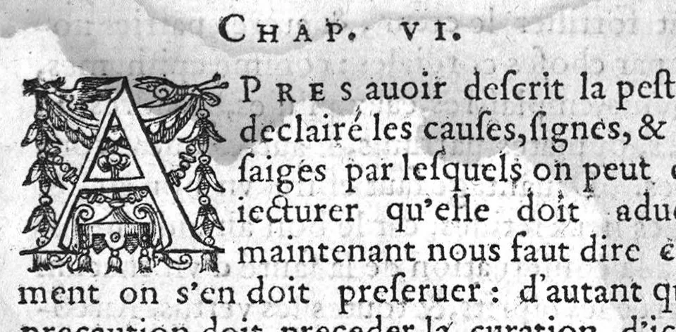 An illustration from Excellent traicte de la peste, monstrant les causes, signes d'icelle et les remedes les plus exquis tant pour la preservation que pour la cure des malades, le tout bien approuvé, et en divers lieux heureusement experimenté, Par Antoine Royet, natif de Lyon, 1583, leaf 26