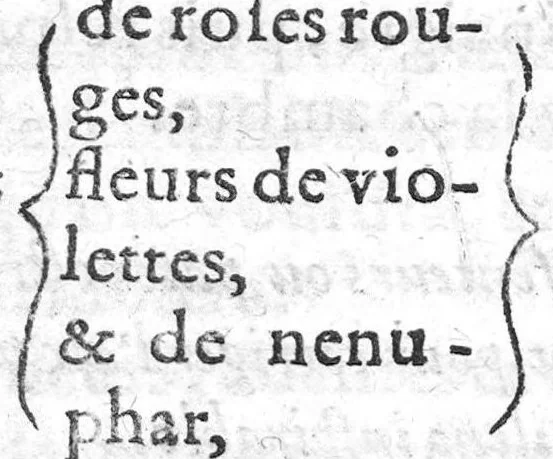 An illustration from Singuliers secrets et secours contre la peste, souventesfois experimentez et approuvez, tant en certaine preservation que parfaicte guarison, Par M. Antoine Mizauld Medecin à Paris, 1562, leaf 33