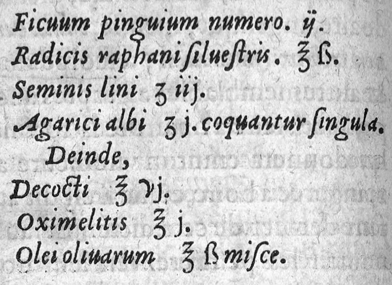 An illustration from Paradoxes de la cure de peste, par une methode succincte, contre l’opinion de ceux qui en ont escrit et pratiqué au passé, par Claude Fabri, Medecin et Astrophile, natif de Prelz en Argonne, demeurant à Dijon,, 1568, leaf 105