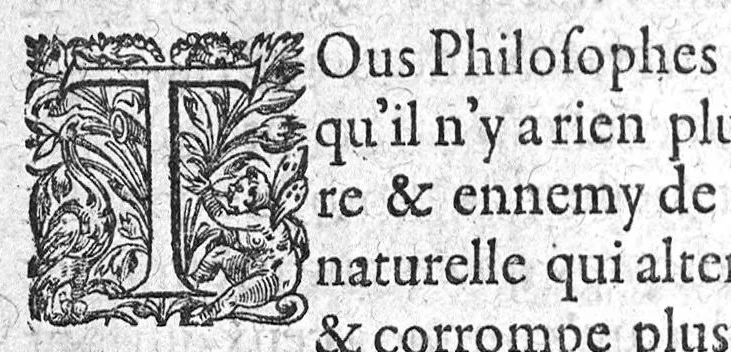 An illustration from Paradoxes de la cure de peste, par une methode succincte, contre l’opinion de ceux qui en ont escrit et pratiqué au passé, par Claude Fabri, Medecin et Astrophile, natif de Prelz en Argonne, demeurant à Dijon,, 1568, leaf 155