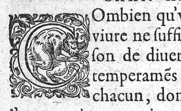 An illustration from Paradoxes de la cure de peste, par une methode succincte, contre l’opinion de ceux qui en ont escrit et pratiqué au passé, par Claude Fabri, Medecin et Astrophile, natif de Prelz en Argonne, demeurant à Dijon,, 1568, leaf 191