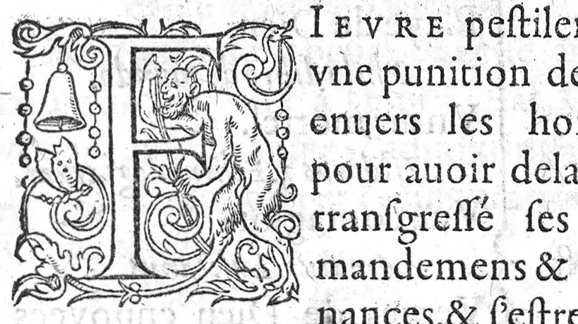 An illustration from Paradoxes de la cure de peste, par une methode succincte, contre l’opinion de ceux qui en ont escrit et pratiqué au passé, par Claude Fabri, Medecin et Astrophile, natif de Prelz en Argonne, demeurant à Dijon,, 1568, leaf 20